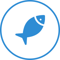 魚のイラスト